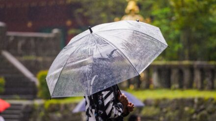 젖은 접이식 우산을 물기 덜 새게 접고 비닐에 넣는 장면